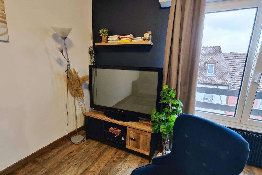Colmar Chaleureux 5 Mn Du Centre T2 Apartment Екстериор снимка